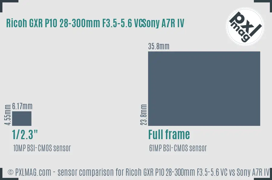 Ricoh GXR P10 28-300mm F3.5-5.6 VC vs Sony A7R IV sensor size comparison