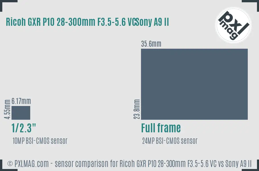 Ricoh GXR P10 28-300mm F3.5-5.6 VC vs Sony A9 II sensor size comparison