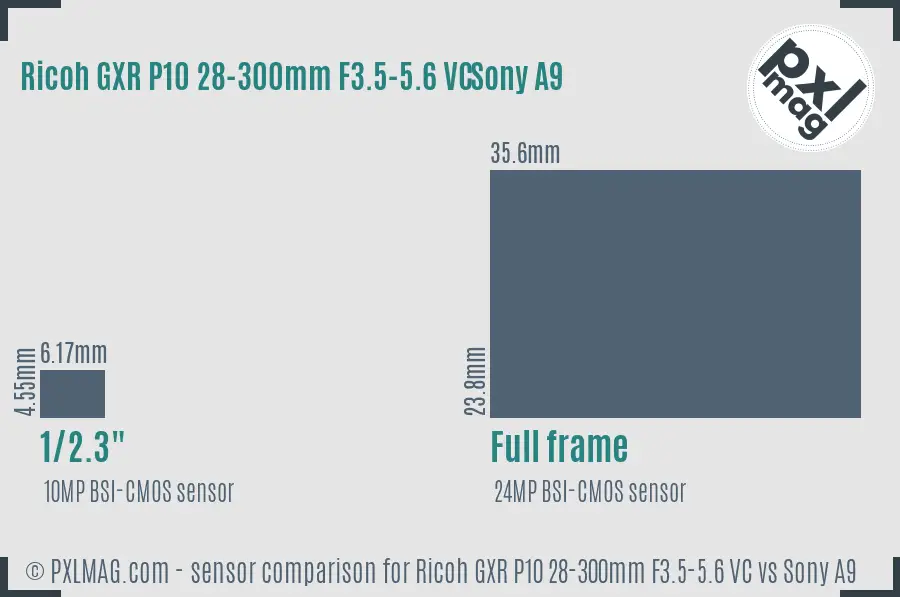 Ricoh GXR P10 28-300mm F3.5-5.6 VC vs Sony A9 sensor size comparison