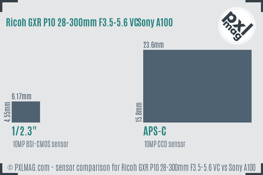 Ricoh GXR P10 28-300mm F3.5-5.6 VC vs Sony A100 sensor size comparison