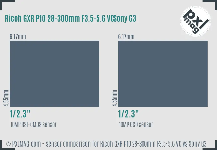 Ricoh GXR P10 28-300mm F3.5-5.6 VC vs Sony G3 sensor size comparison