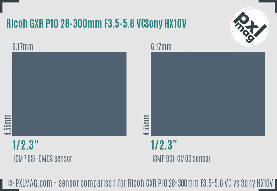 Ricoh GXR P10 28-300mm F3.5-5.6 VC vs Sony HX10V sensor size comparison Ricoh GXR P10 28-300mm F3.5-5.6 VC vs Sony HX10V sensor size comparison