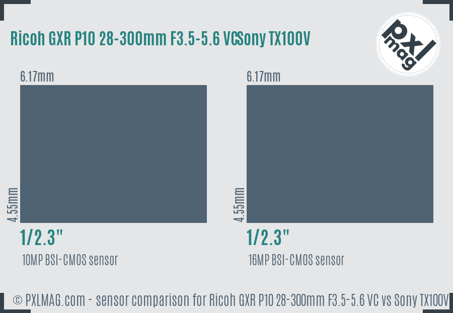 Ricoh GXR P10 28-300mm F3.5-5.6 VC vs Sony TX100V sensor size comparison