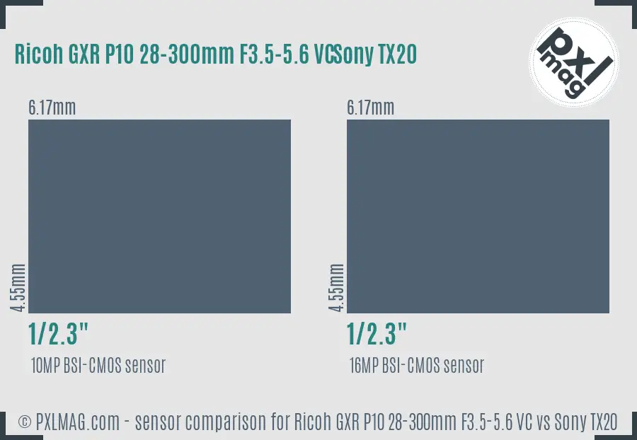 Ricoh GXR P10 28-300mm F3.5-5.6 VC vs Sony TX20 sensor size comparison