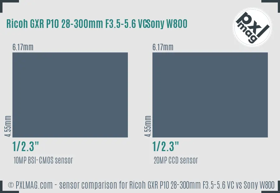 Ricoh GXR P10 28-300mm F3.5-5.6 VC vs Sony W800 sensor size comparison