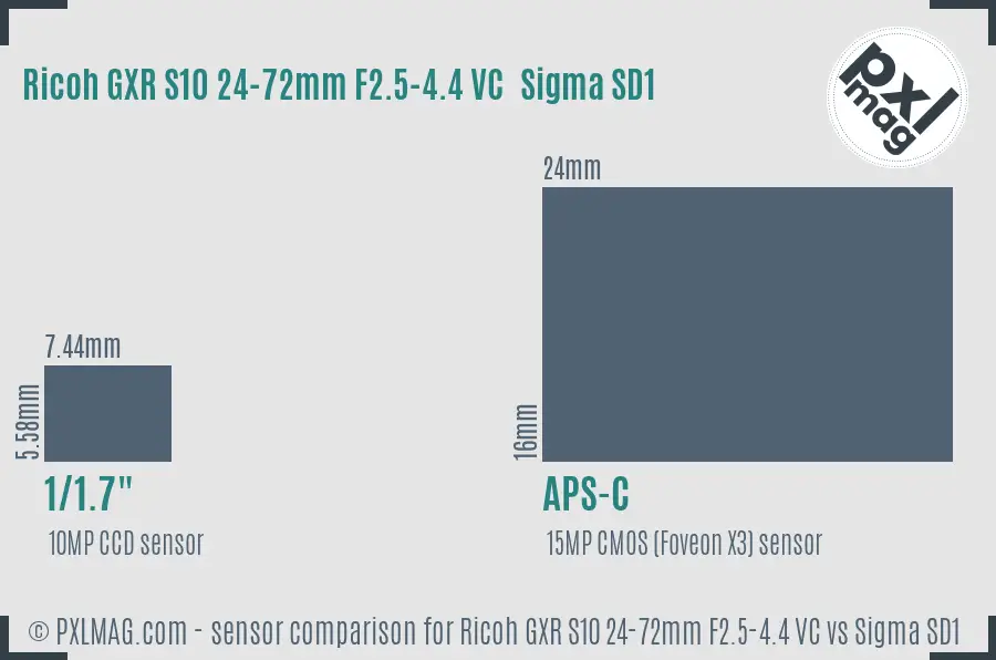 Ricoh GXR S10 24-72mm F2.5-4.4 VC vs Sigma SD1 sensor size comparison