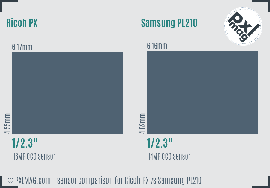 Ricoh PX vs Samsung PL210 sensor size comparison