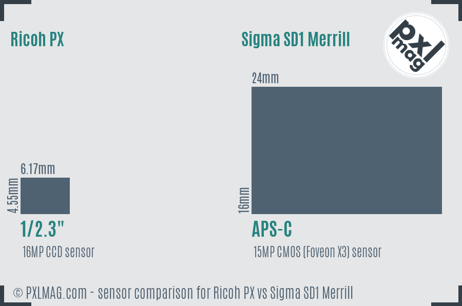 Ricoh PX vs Sigma SD1 Merrill sensor size comparison