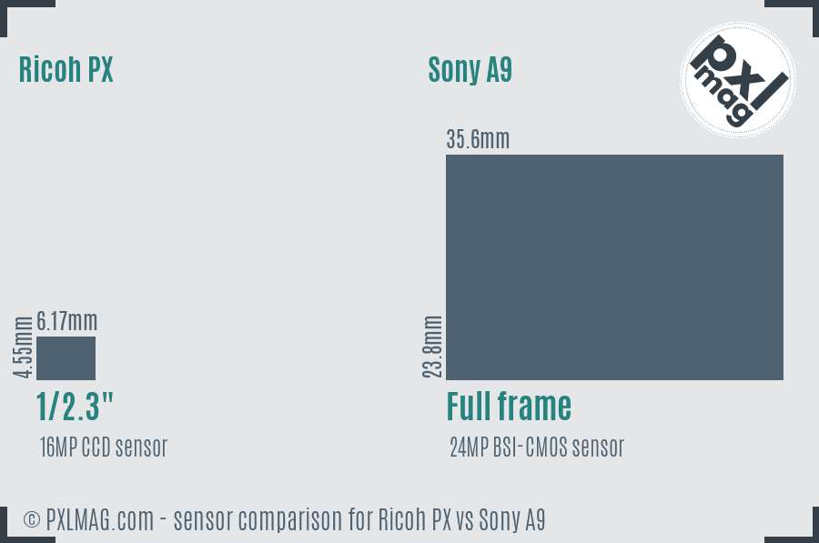 Ricoh PX vs Sony A9 sensor size comparison