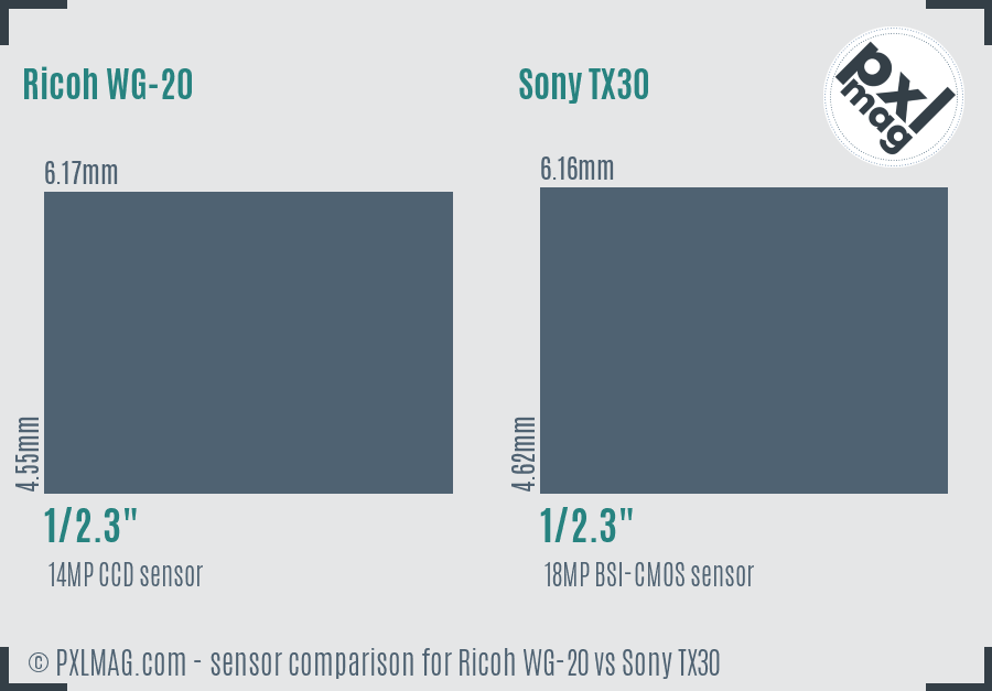 Ricoh WG-20 vs Sony TX30 sensor size comparison