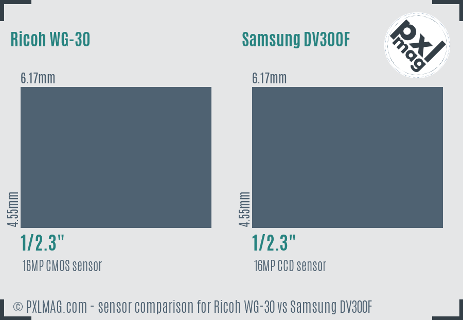 Ricoh WG-30 vs Samsung DV300F sensor size comparison