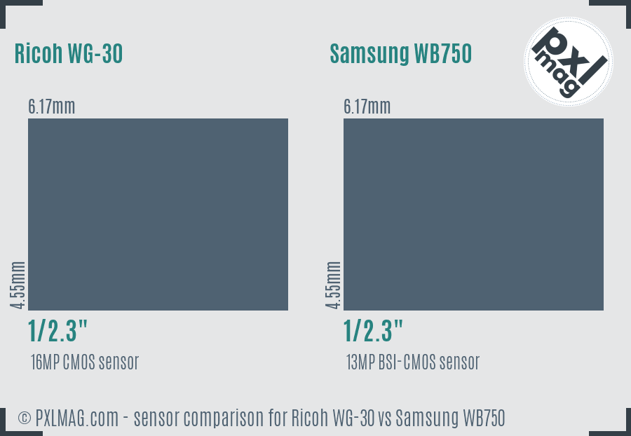 Ricoh WG-30 vs Samsung WB750 sensor size comparison