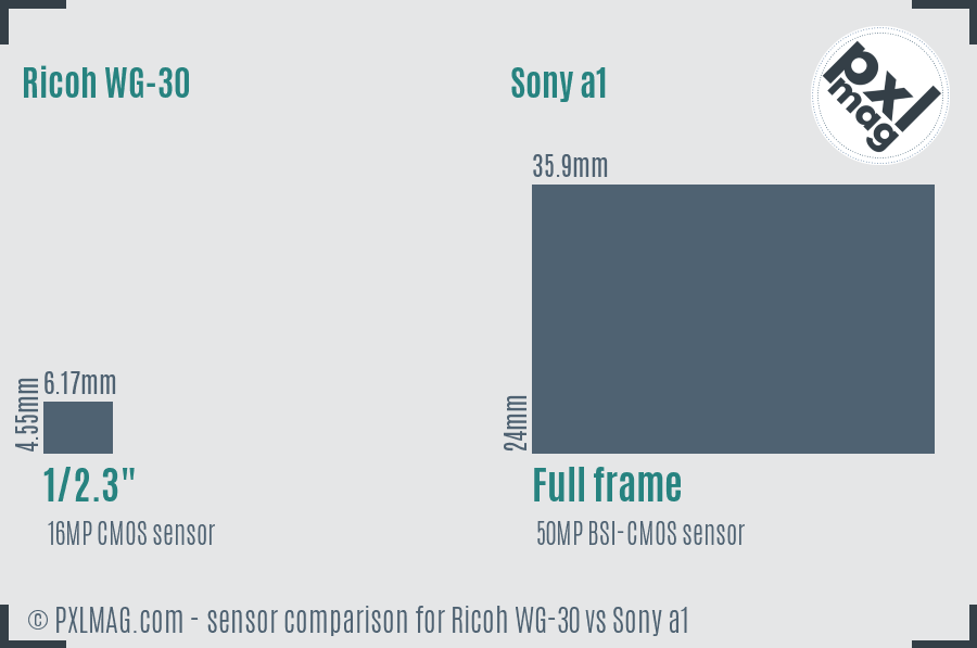 Ricoh WG-30 vs Sony a1 sensor size comparison