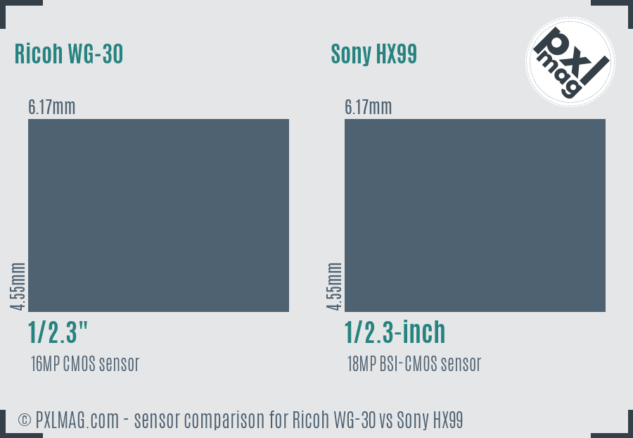 Ricoh WG-30 vs Sony HX99 sensor size comparison