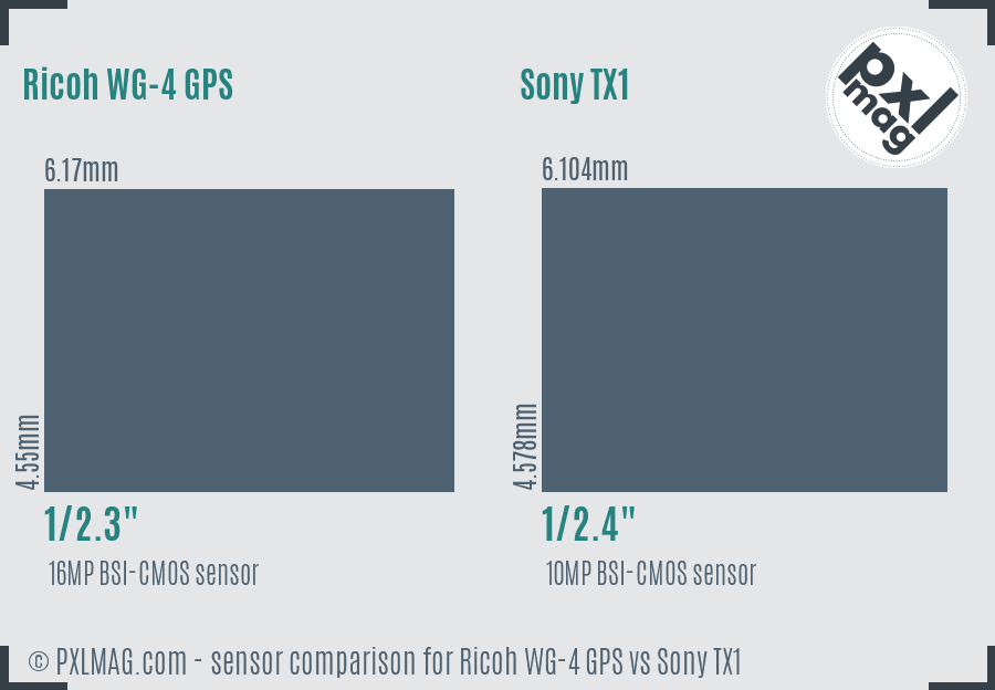 Ricoh WG-4 GPS vs Sony TX1 sensor size comparison