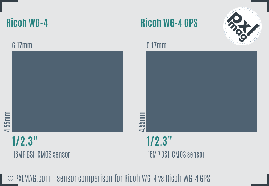 Ricoh WG-4 vs Ricoh WG-4 GPS sensor size comparison
