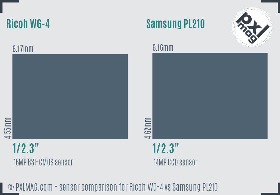 Ricoh WG-4 vs Samsung PL210 sensor size comparison