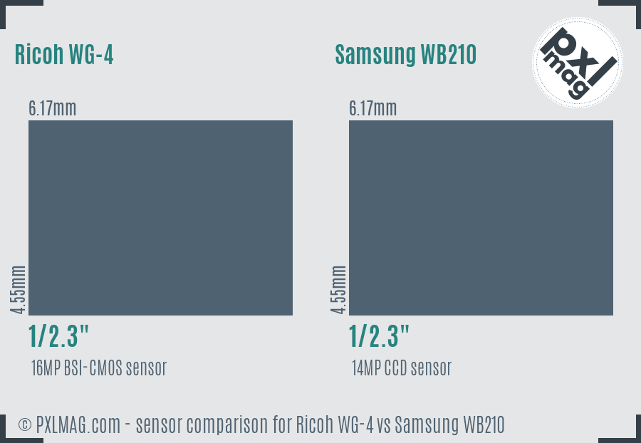 Ricoh WG-4 vs Samsung WB210 sensor size comparison