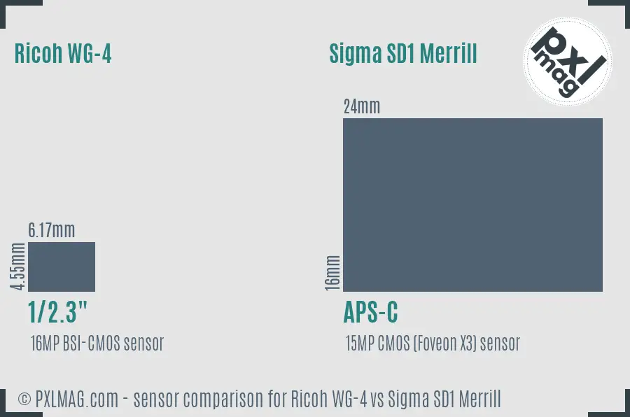 Ricoh WG-4 vs Sigma SD1 Merrill sensor size comparison