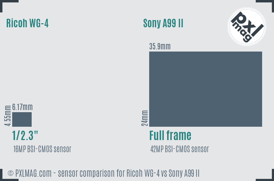Ricoh WG-4 vs Sony A99 II sensor size comparison
