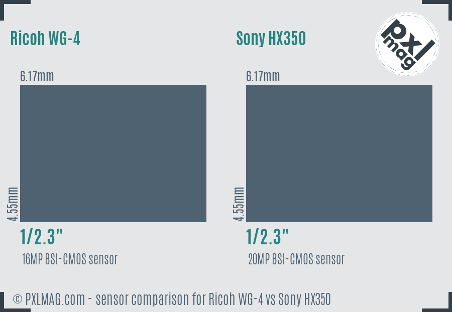 Ricoh WG-4 vs Sony HX350 sensor size comparison