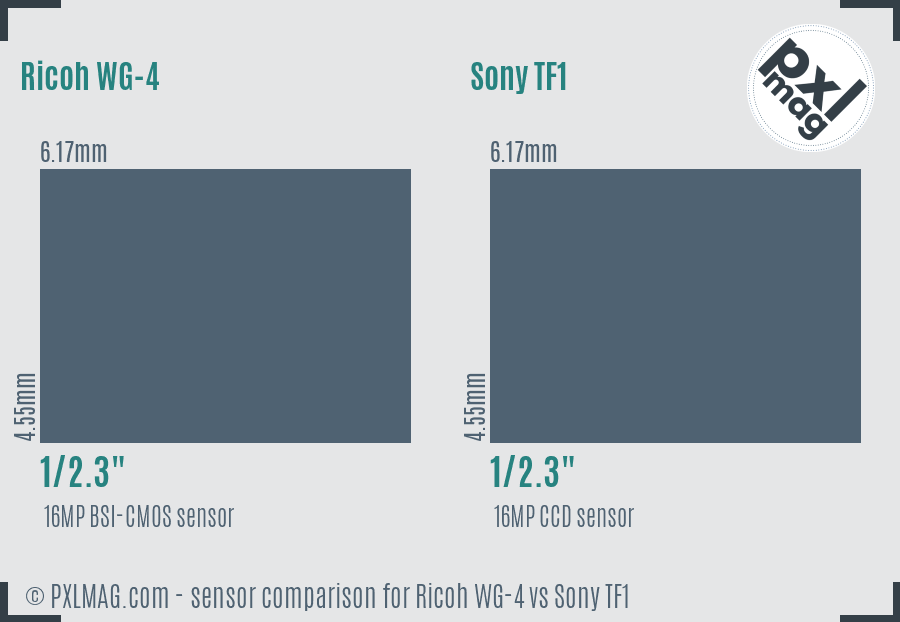 Ricoh WG-4 vs Sony TF1 sensor size comparison