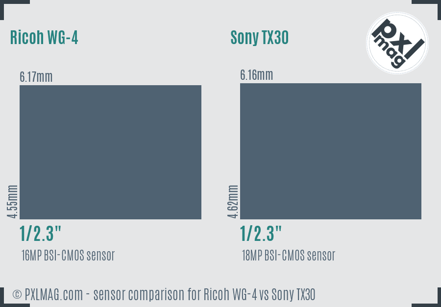 Ricoh WG-4 vs Sony TX30 sensor size comparison