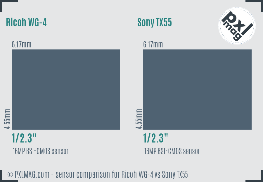 Ricoh WG-4 vs Sony TX55 sensor size comparison