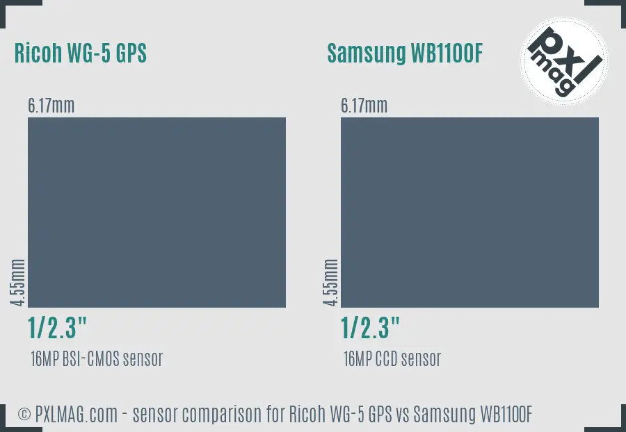 Ricoh WG-5 GPS vs Samsung WB1100F sensor size comparison