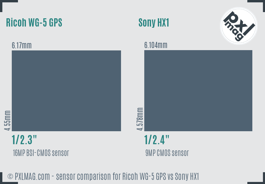 Ricoh WG-5 GPS vs Sony HX1 sensor size comparison