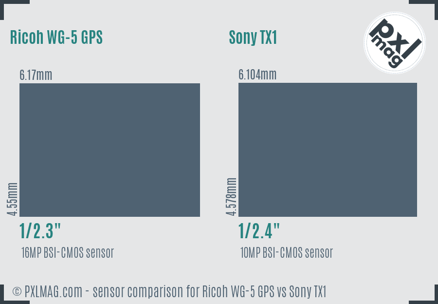 Ricoh WG-5 GPS vs Sony TX1 sensor size comparison