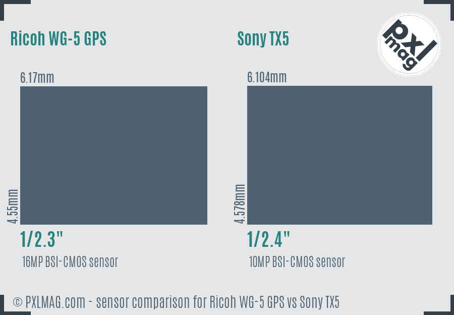 Ricoh WG-5 GPS vs Sony TX5 sensor size comparison