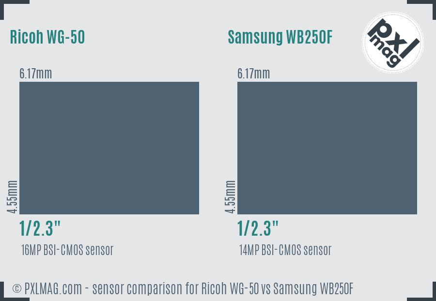 Ricoh WG-50 vs Samsung WB250F sensor size comparison