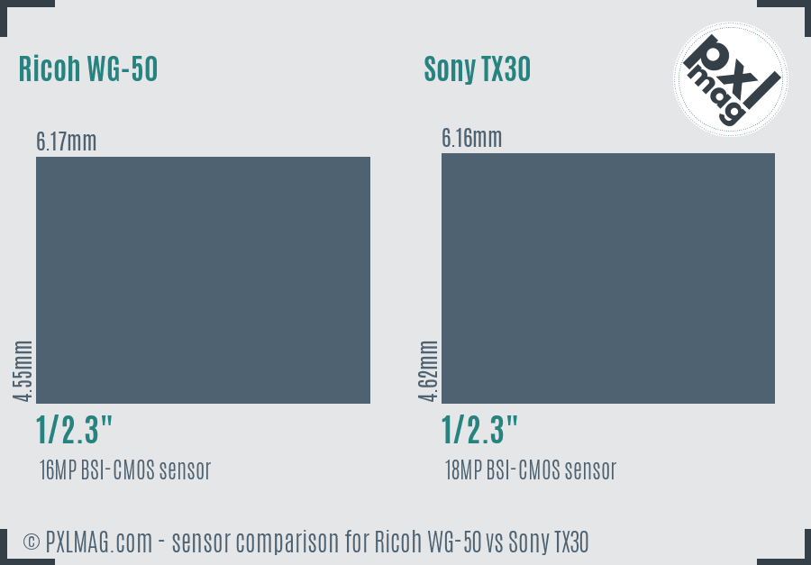 Ricoh WG-50 vs Sony TX30 sensor size comparison