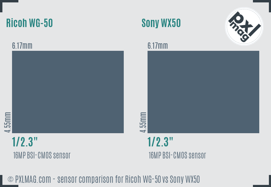 Ricoh WG-50 vs Sony WX50 sensor size comparison