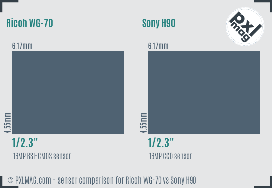 Ricoh WG-70 vs Sony H90 sensor size comparison