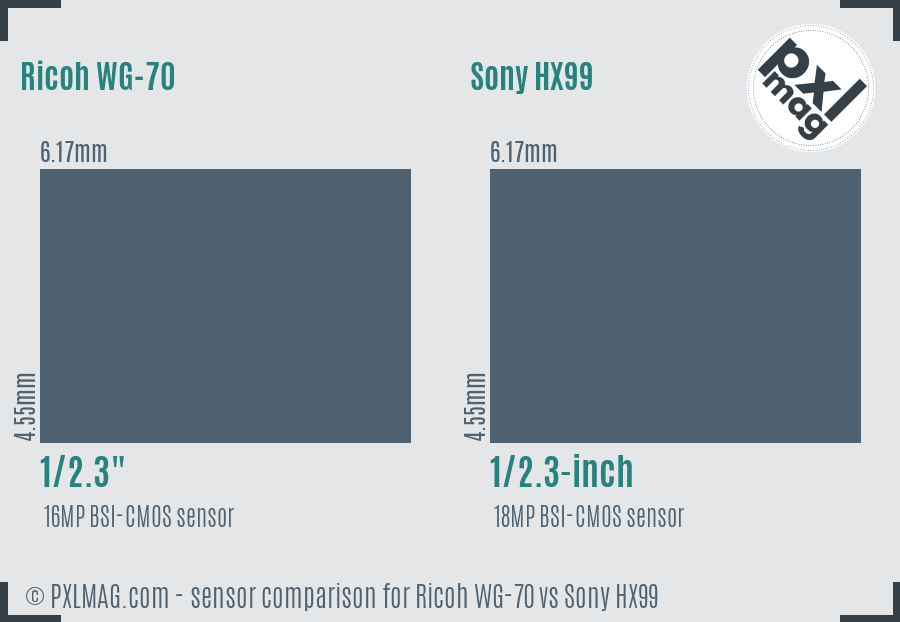 Ricoh WG-70 vs Sony HX99 sensor size comparison