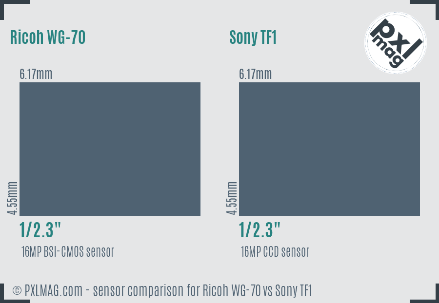Ricoh WG-70 vs Sony TF1 sensor size comparison