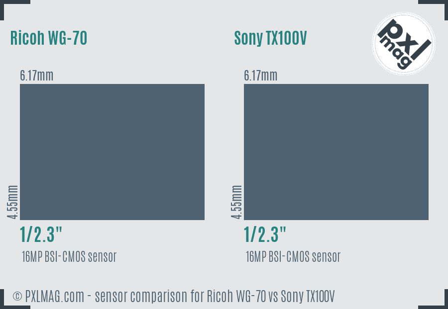Ricoh WG-70 vs Sony TX100V sensor size comparison