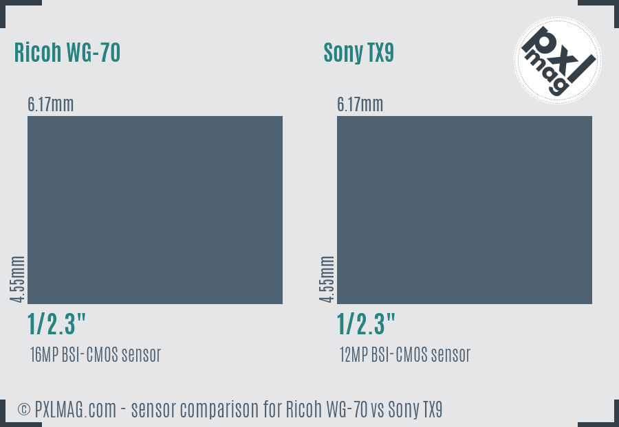 Ricoh WG-70 vs Sony TX9 sensor size comparison