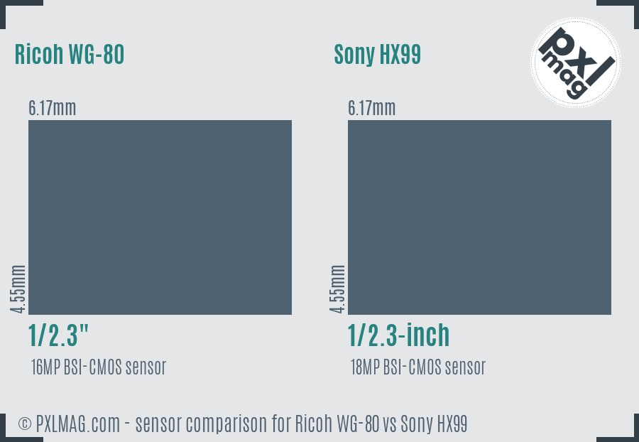 Ricoh WG-80 vs Sony HX99 sensor size comparison