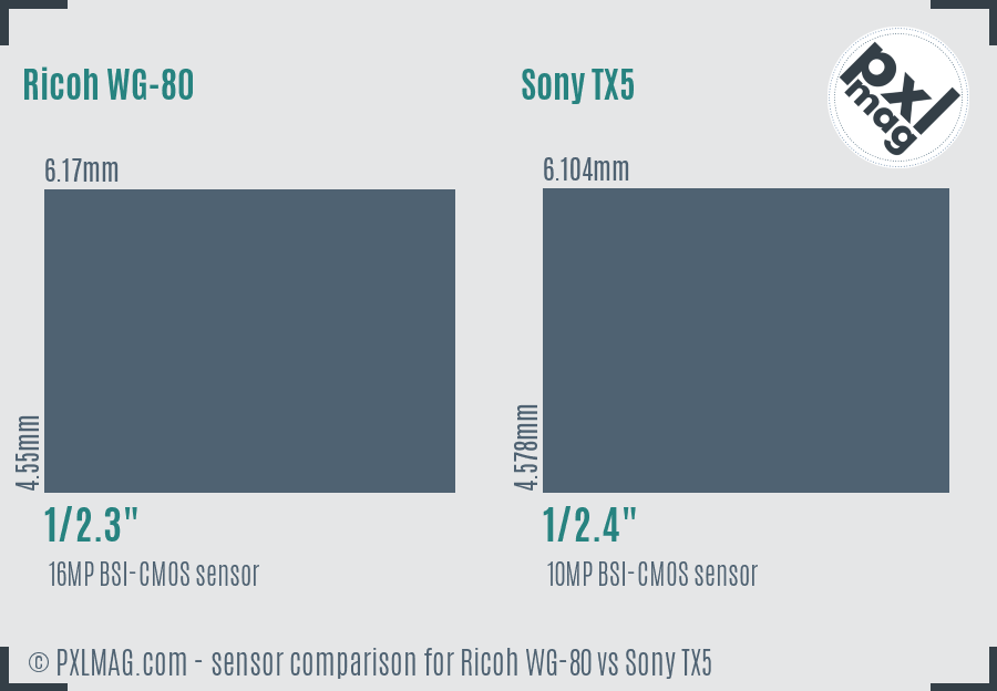 Ricoh WG-80 vs Sony TX5 sensor size comparison