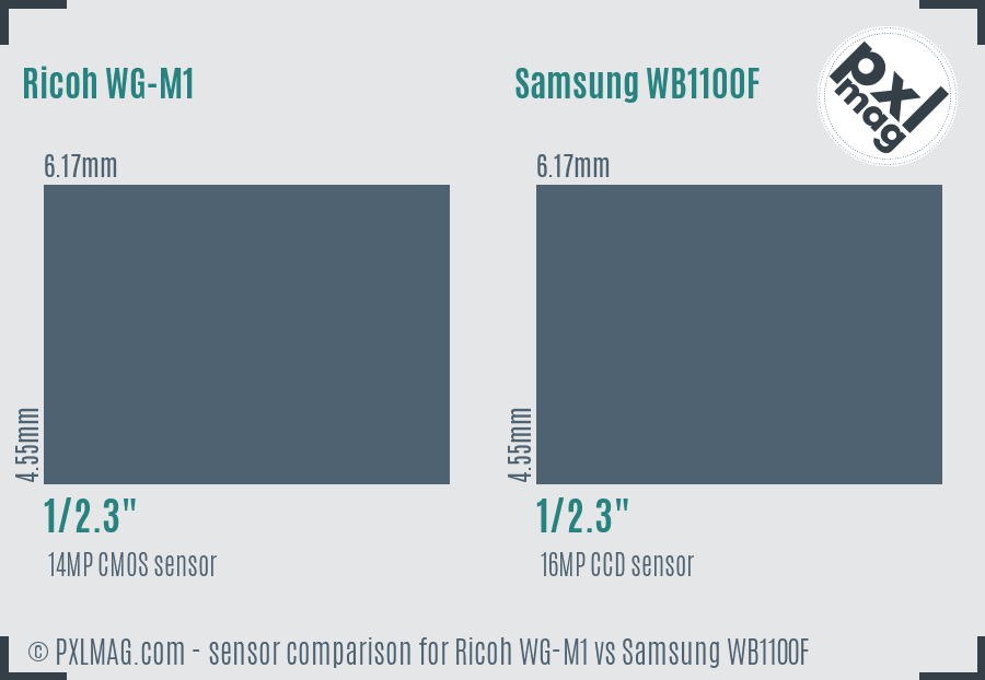 Ricoh WG-M1 vs Samsung WB1100F sensor size comparison
