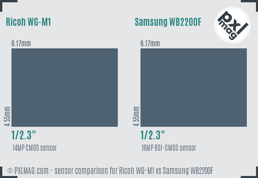 Ricoh WG-M1 vs Samsung WB2200F sensor size comparison