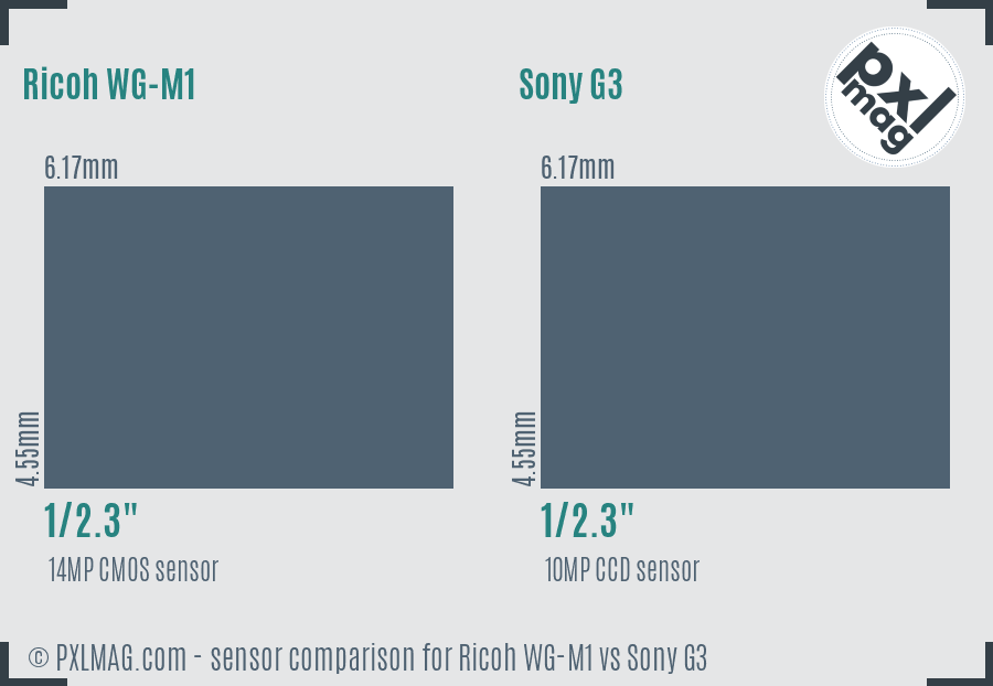 Ricoh WG-M1 vs Sony G3 sensor size comparison
