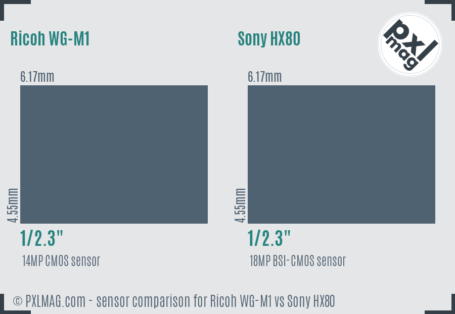 Ricoh WG-M1 vs Sony HX80 sensor size comparison