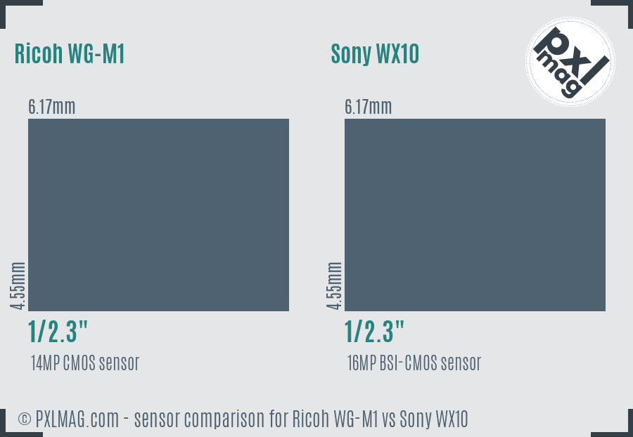 Ricoh WG-M1 vs Sony WX10 sensor size comparison