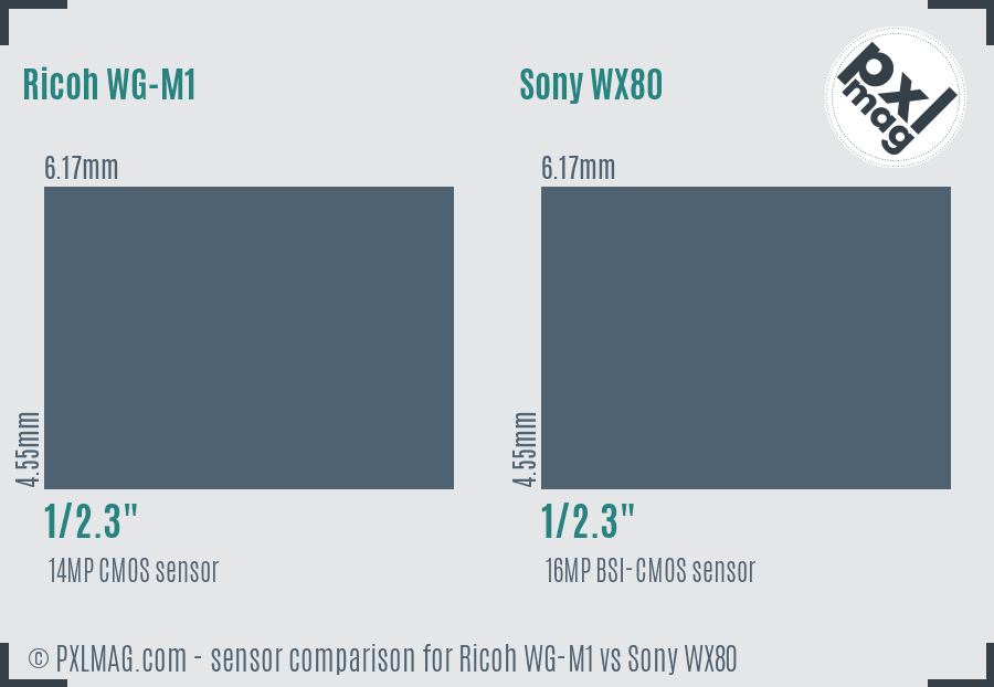 Ricoh WG-M1 vs Sony WX80 sensor size comparison