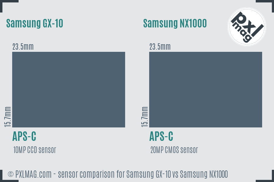 Samsung GX-10 vs Samsung NX1000 sensor size comparison