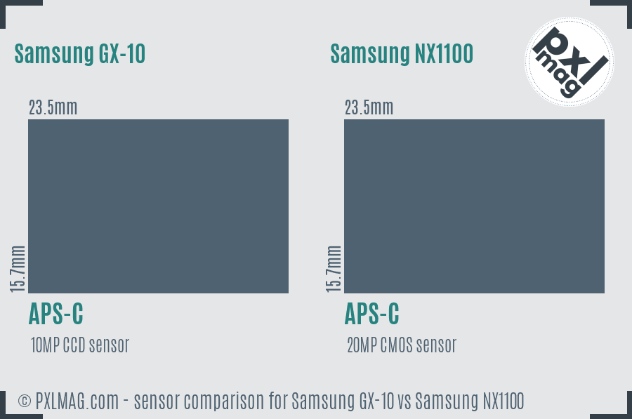 Samsung GX-10 vs Samsung NX1100 sensor size comparison